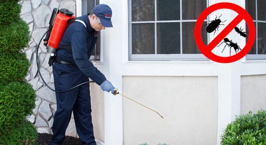 Kozaklı Fare İlaçlama böcek ilaçlama ve haşere kontrolü — ilaclama-tr.com